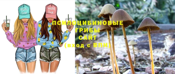 spice Абаза