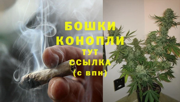 spice Абаза