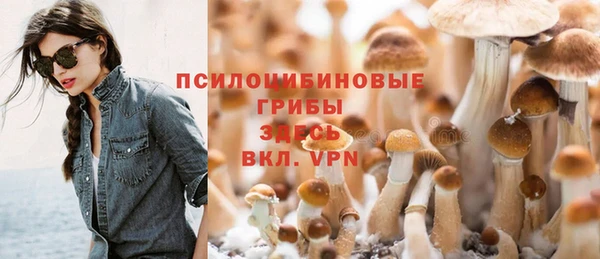 ALPHA PVP Рославль