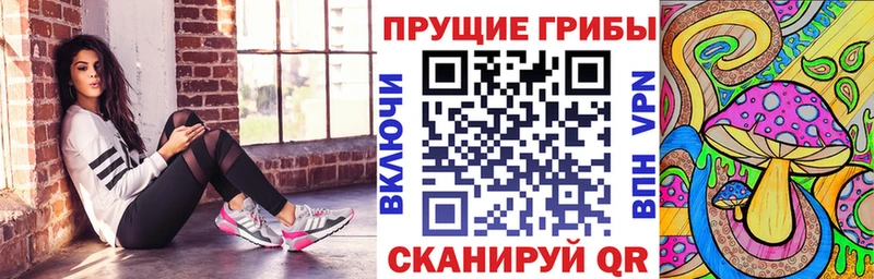 купить наркоту  Заводоуковск  Галлюциногенные грибы Magic Shrooms 