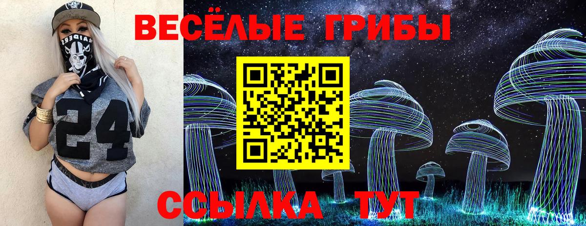 Галлюциногенные грибы MAGIC MUSHROOMS  Вход с VPN  Заводоуковск 